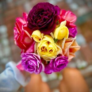 Meet your Posher, Carissa